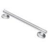Moen Home Care 16 In. L ADA Compliant Chrome Stainless Steel Grab Bar -Wenn Bathroom Shop f0ab4d1b 017a 4407 94f2 5695c8791fff